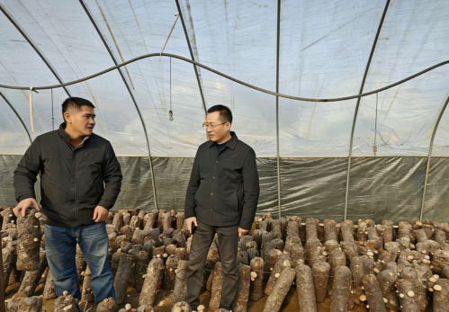 截圖_選擇區(qū)域_20251218112252.png