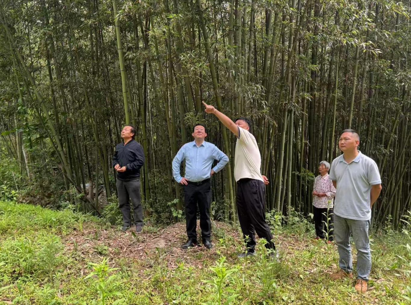 截圖錄屏_選擇區(qū)域_20260515151155.jpg